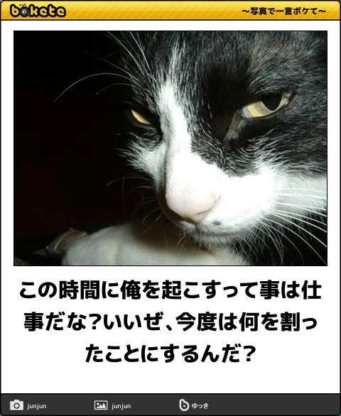 boketeで1000コメ以上を目指そう〜 part14〜