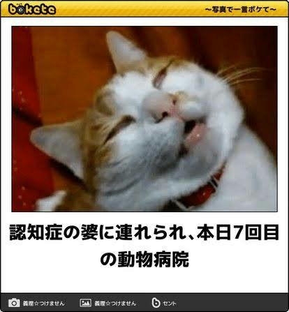 boketeで1000コメ以上を目指そう〜 part14〜