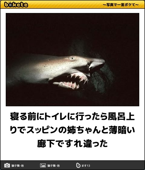 boketeで1000コメ以上を目指そう〜 part14〜