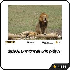 boketeで1000コメ以上を目指そう〜 part14〜