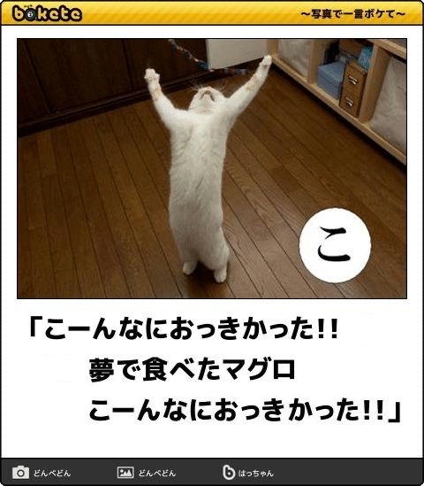 boketeで1000コメ以上を目指そう〜 part14〜