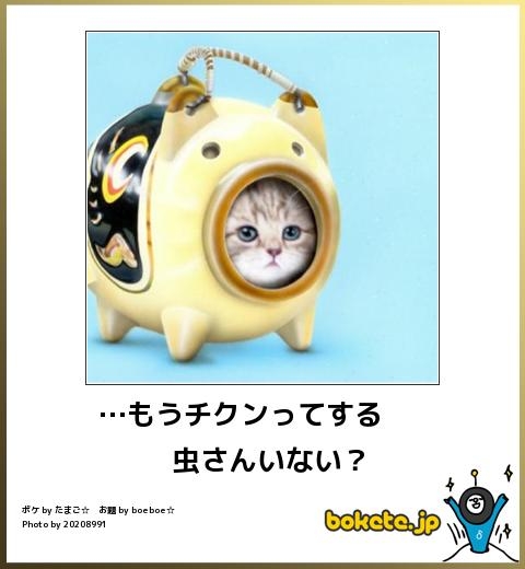 boketeで1000コメ以上を目指そう〜 part14〜