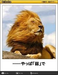 boketeで1000コメ以上を目指そう〜 part14〜