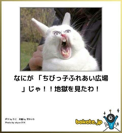 boketeで1000コメ以上を目指そう〜 part14〜