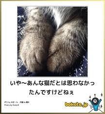 boketeで1000コメ以上を目指そう〜 part14〜