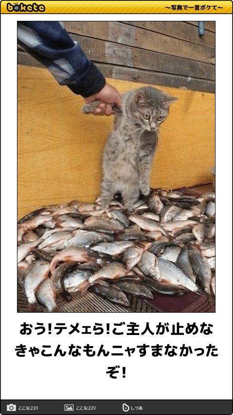 boketeで1000コメ以上を目指そう〜 part14〜