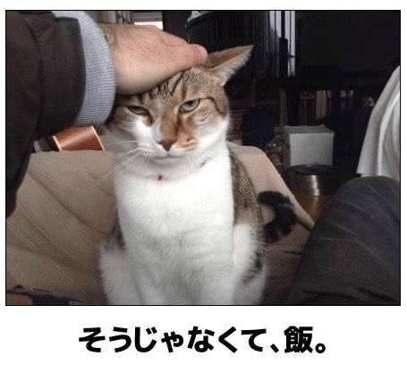 boketeで1000コメ以上を目指そう〜 part14〜