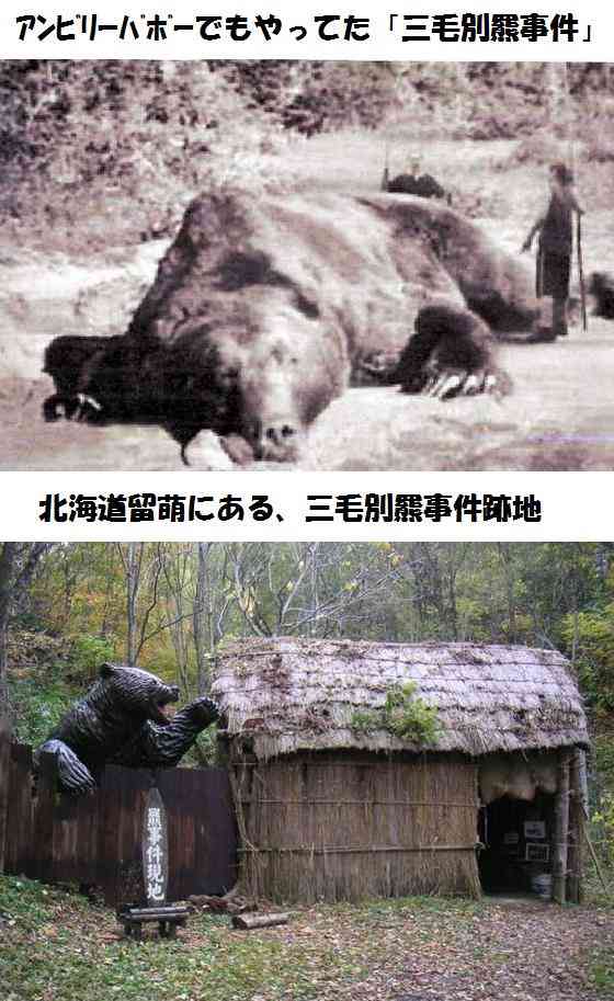 【ヒグマ速報】お腹の肉でっぷり！”400キロの巨大クマ ”カメラが捉える―広い範囲で連日出没…警戒続く〈北海道苫前町〉