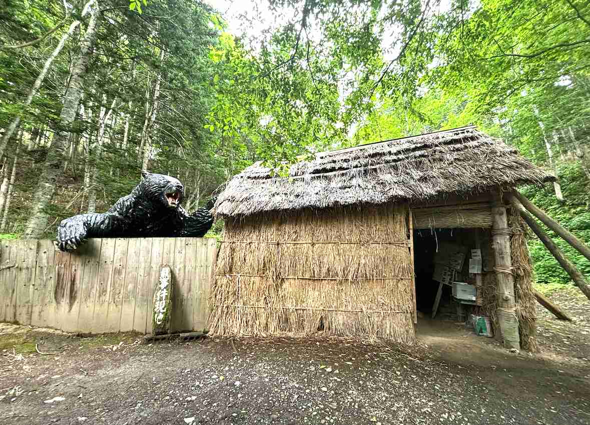 【ヒグマ速報】お腹の肉でっぷり！”400キロの巨大クマ ”カメラが捉える―広い範囲で連日出没…警戒続く〈北海道苫前町〉