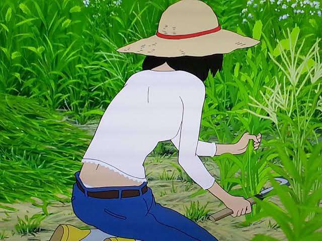 金曜ロードショー、11月は4週連続・細田守監督作品を放送 「おおかみこどもの雨と雪」「時をかける少女」など