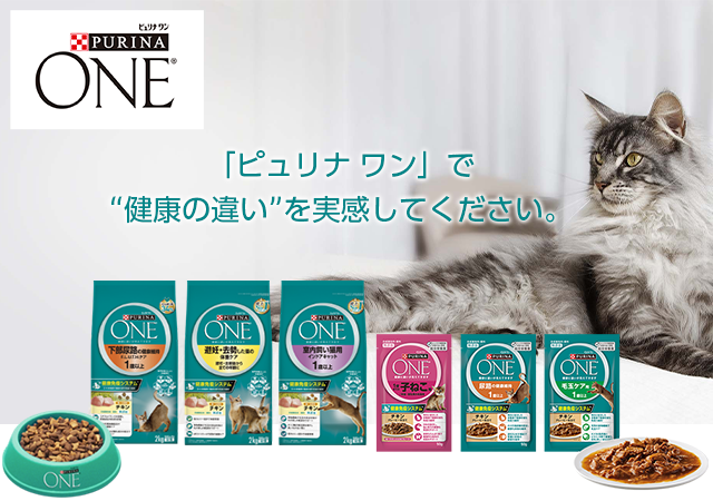 猫のカリカリを語るトピ