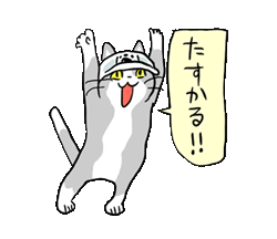 猫のカリカリを語るトピ