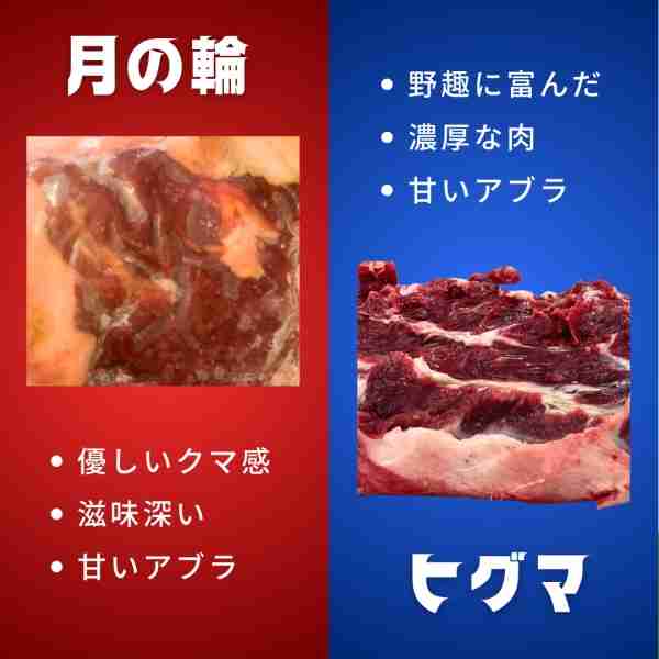 「損傷がかなり激しい」従業員不明の温泉近くで遺体発見、そばに1.5メートルのクマ 脂肪分なく人を食べるために襲った可能性
