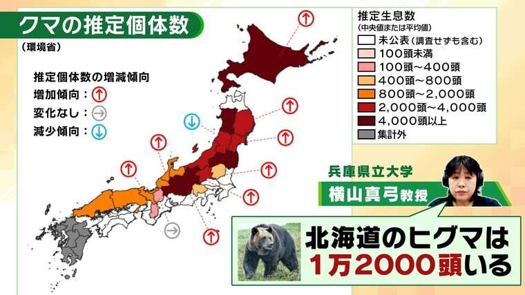 「損傷がかなり激しい」従業員不明の温泉近くで遺体発見、そばに1.5メートルのクマ 脂肪分なく人を食べるために襲った可能性