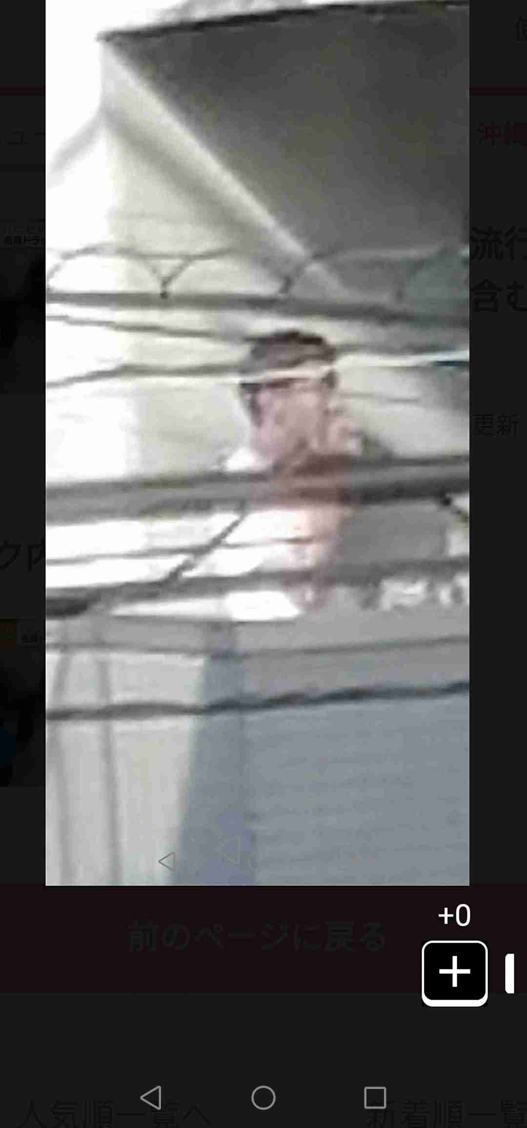 近所の気になること