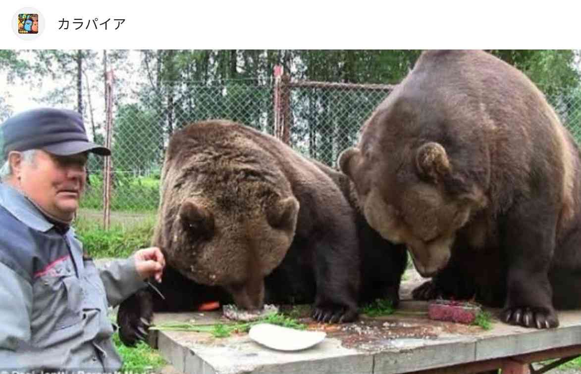 犬に噛まれ男性２人けが　重過失傷害容疑などで飼い主を逮捕