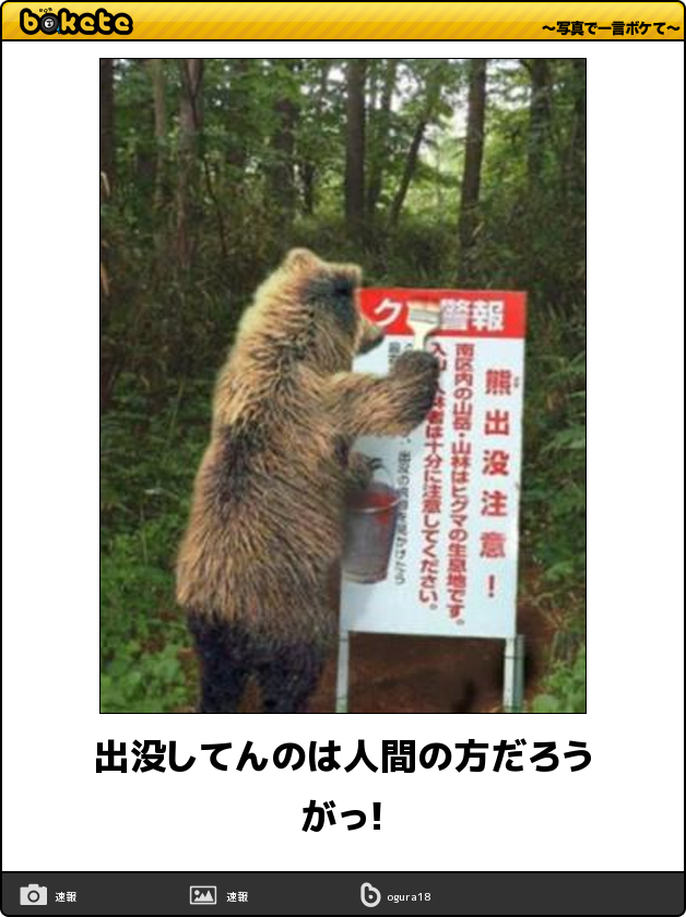 クマを駆除したハンターの報酬・時給1500円に非難の声　現役ハンターは「この待遇では無理」と語る