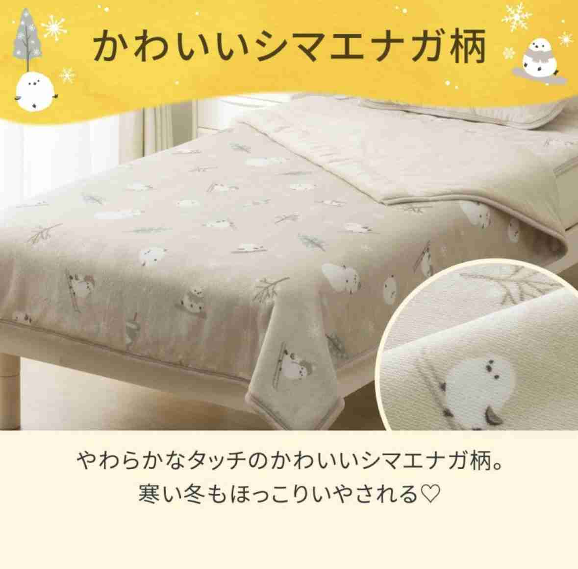 毛布出しました？
