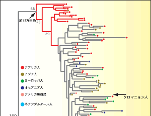 人類がここまで進化した要因