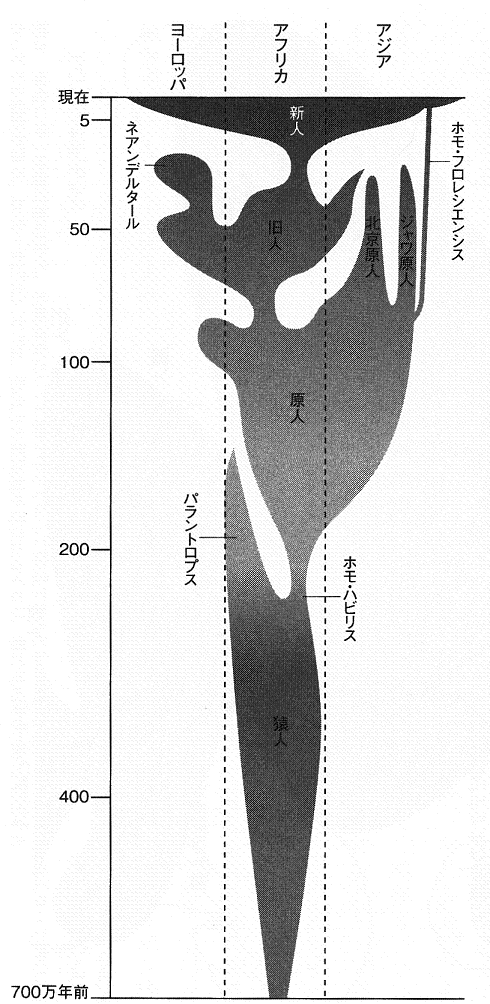人類がここまで進化した要因