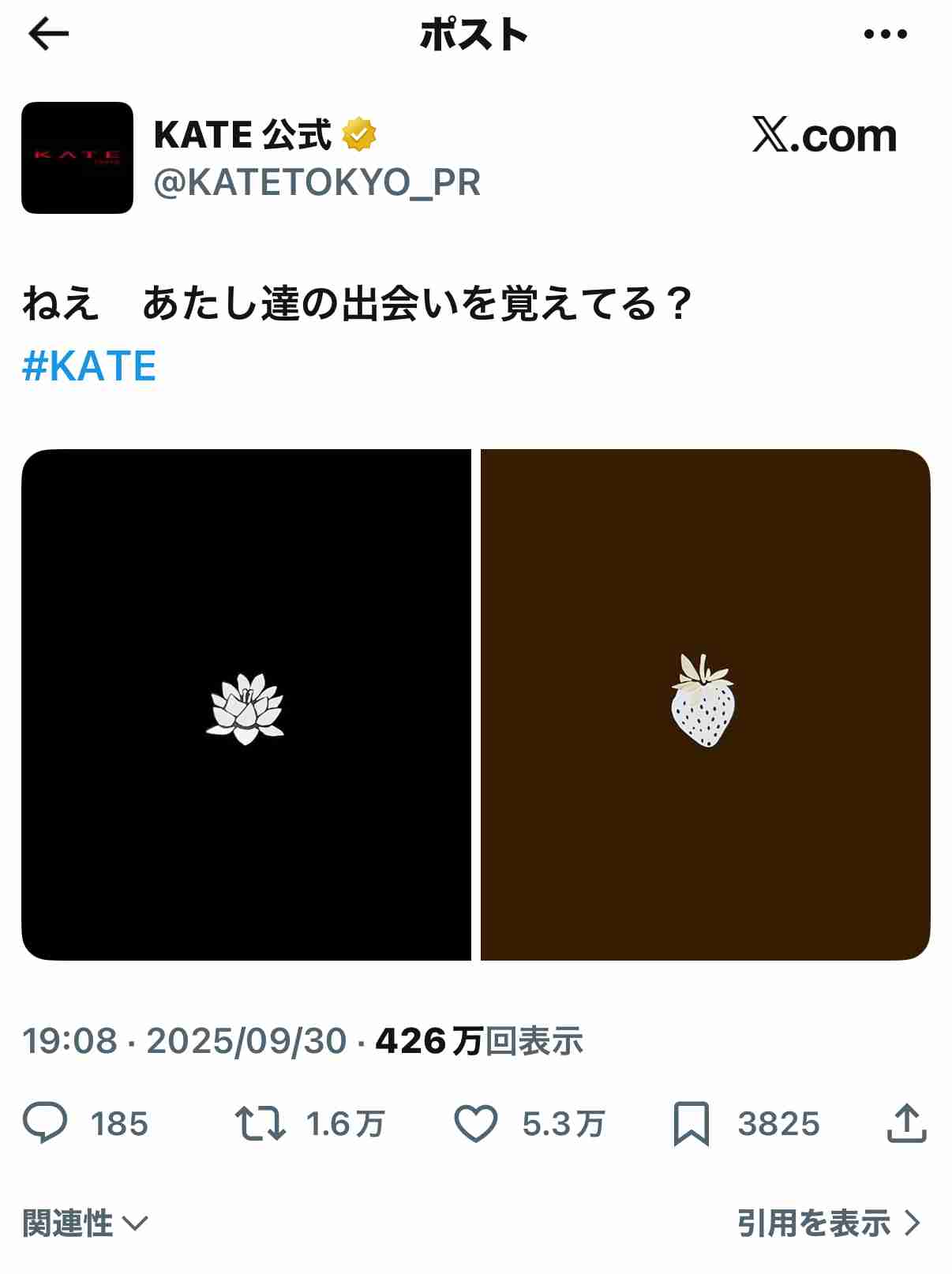 【2025年10月】コスメ総合