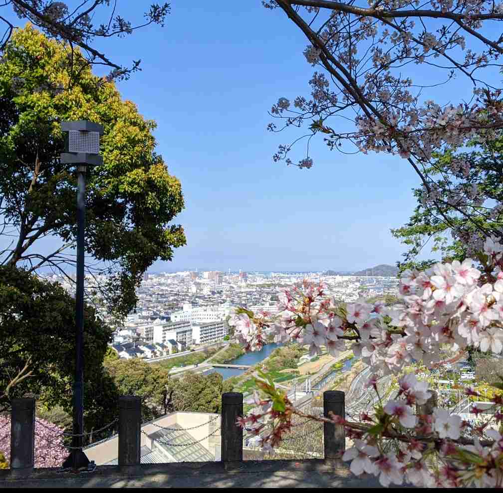 徳島県のオススメ