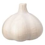 【実況・感想】総理大臣指名選挙