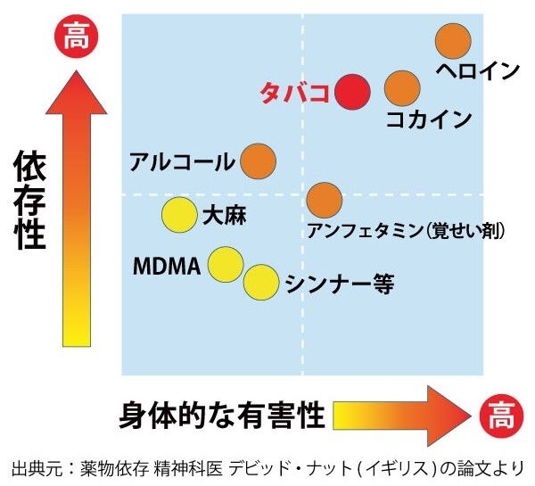 【衝撃スクープ】米倉涼子(50)麻薬取締法違反容疑でマトリが本格捜査へ!