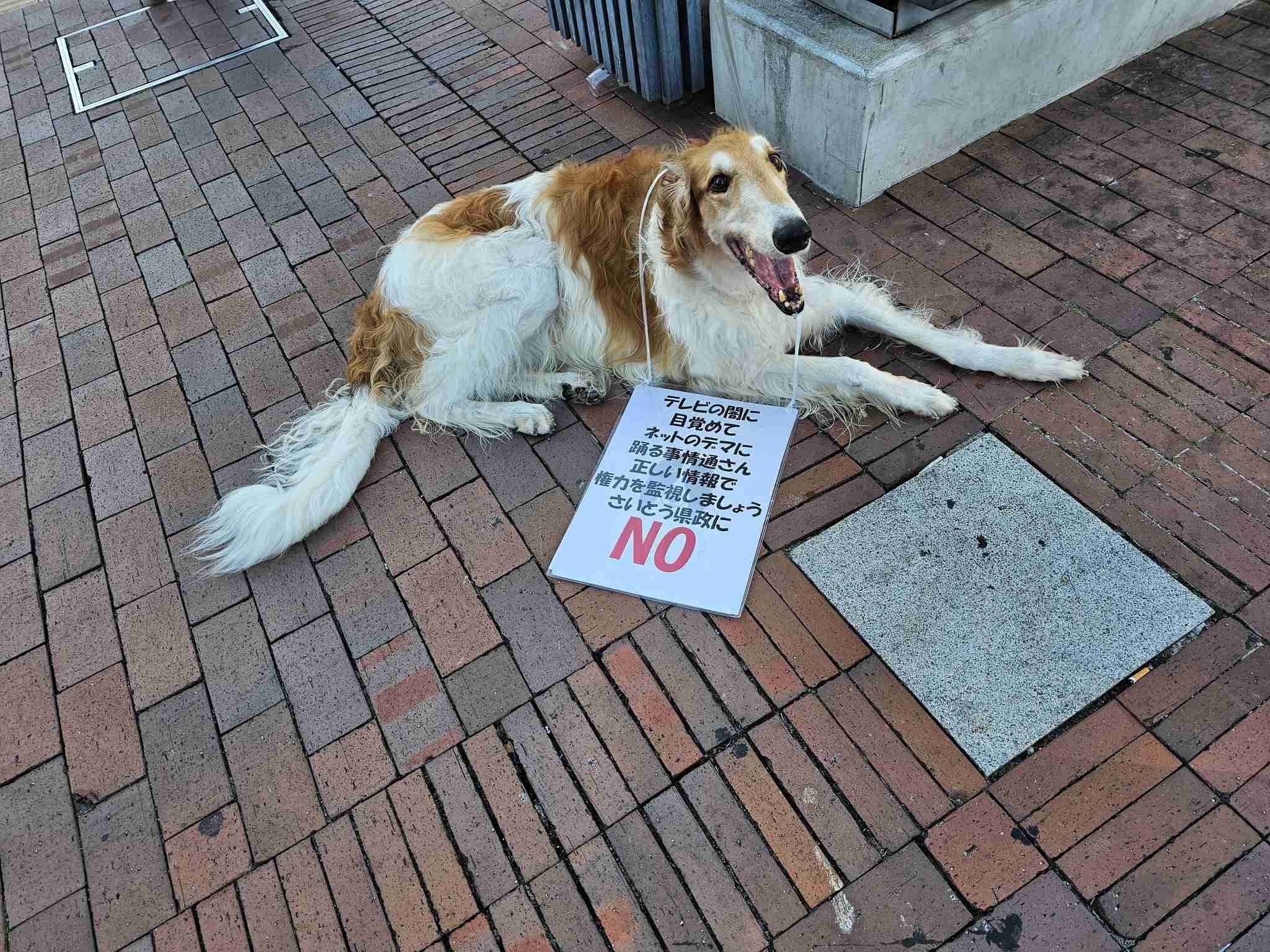 「社会人としてヤバすぎない？」兵庫・斎藤知事　公務中スマホいじりで町長に“生返事”…自撮り疑惑も浮上でネット騒然