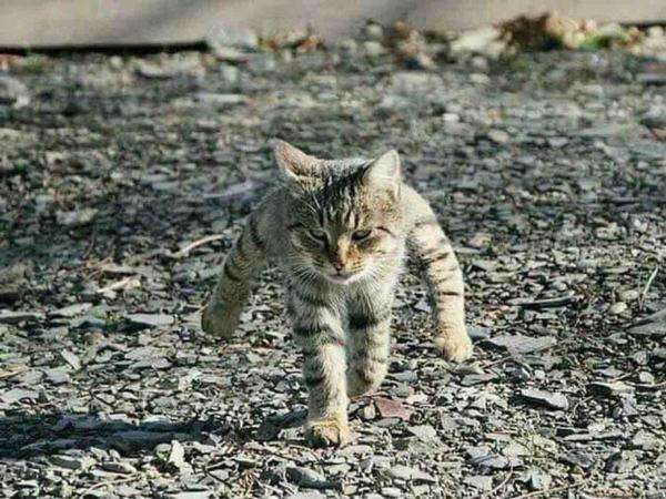 諦めたら追ってくる男