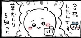 ちいかわ総合トピpart41