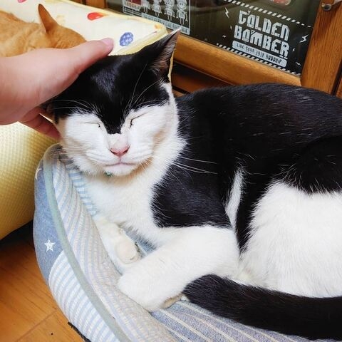 長年人生不幸だったけど幸せになれた人Part3