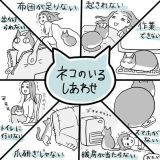 【漫画】“猫吸い”がやめられない、外で見かけるだけで興奮…　猫好きの間で話題の「猫中毒チェックリスト」に爆笑＆共感