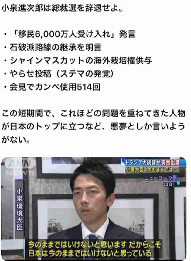 小泉・林氏が演説会欠席　公務優先、他陣営から不満　自民総裁選