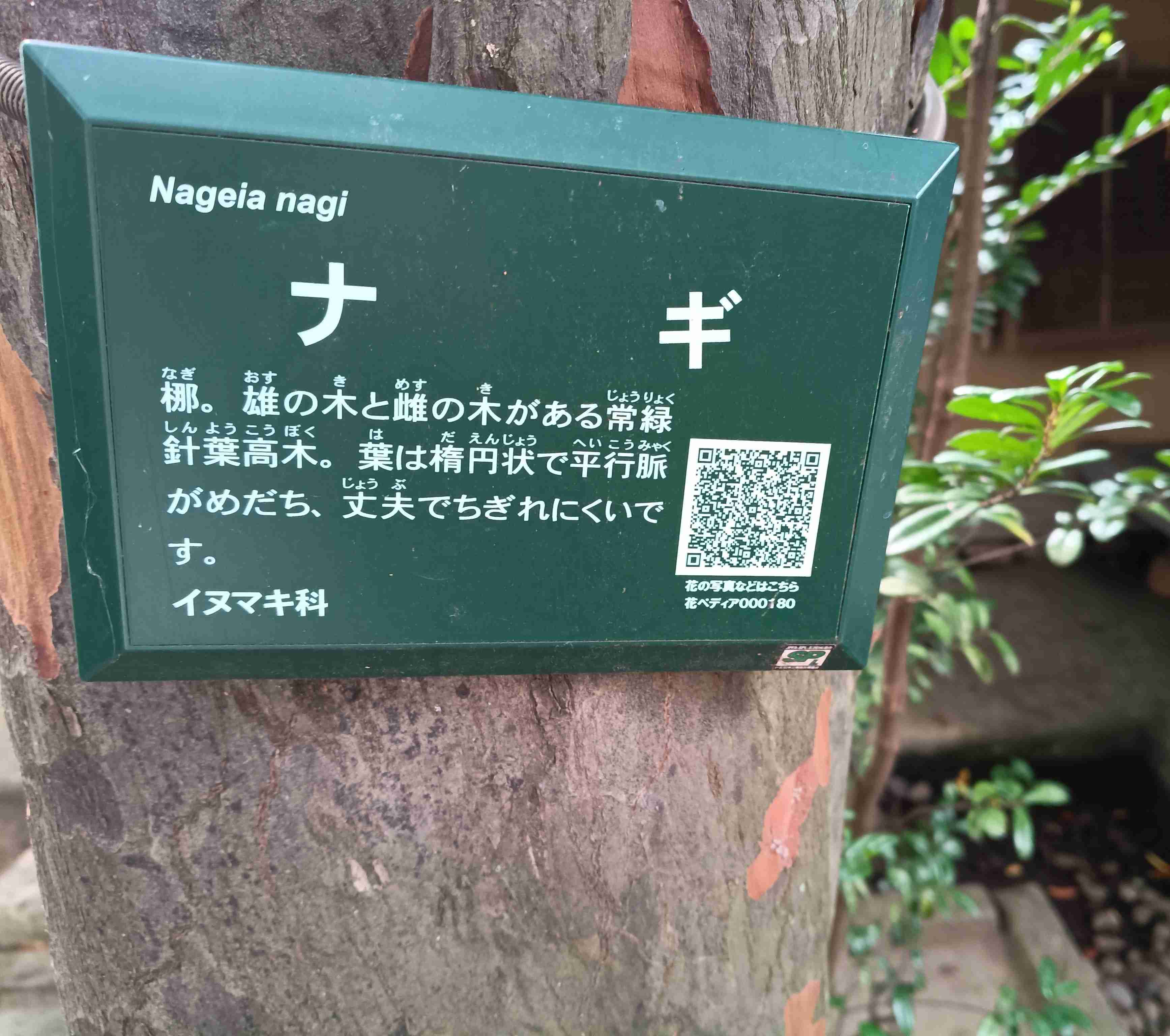 【定期】鬼滅の刃で彼氏にしたいキャラ Part23【妄想】