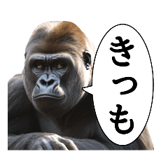 【アダルト】自分史上最高の相性