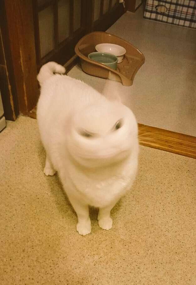 職場の面談、どこまで不満を言う？