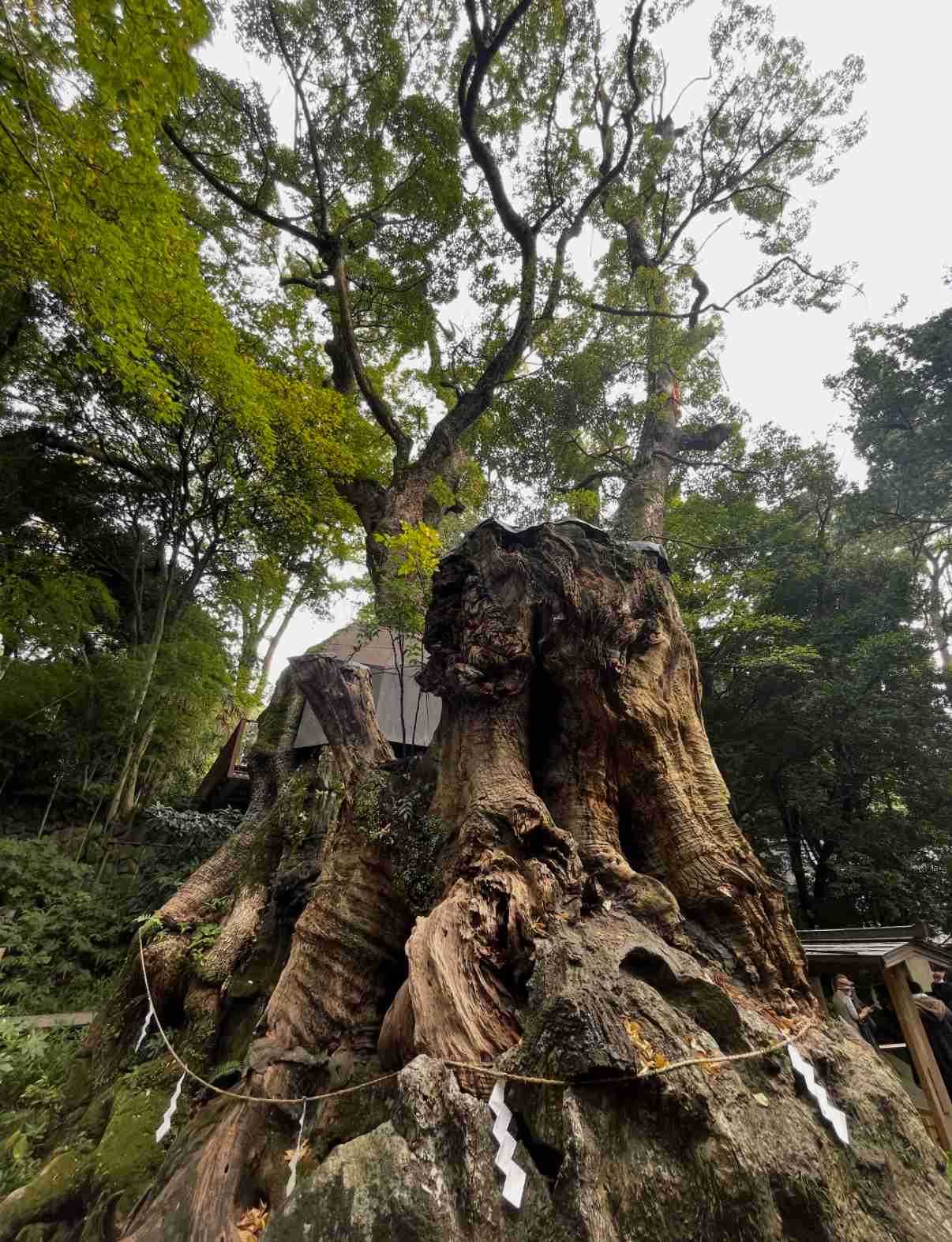 【もう神頼みするしか…】恋愛&結婚に力を発揮してくれた神社、お寺、おまじない、風水、アイテム（パワーストーン等）など