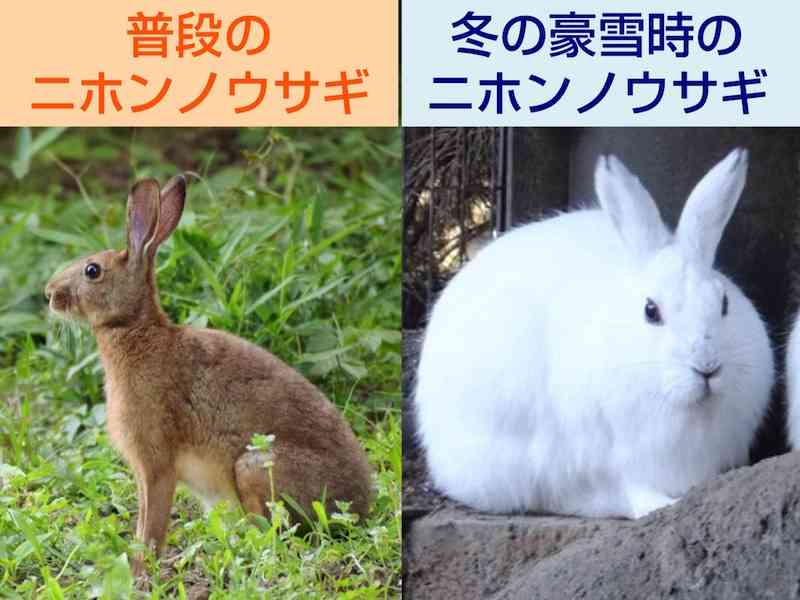 衣替えしましたか？