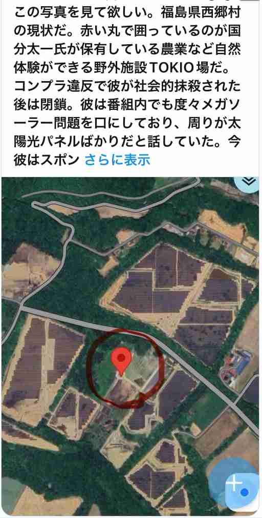 無秩序メガソーラー　「猛反対」の高市首相が規制強化方針　外国製パネルが国土埋め尽くし