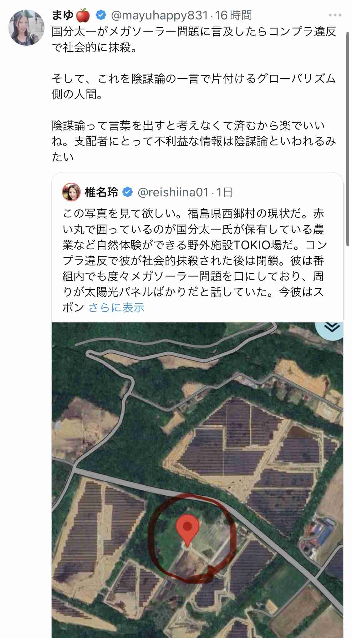 無秩序メガソーラー　「猛反対」の高市首相が規制強化方針　外国製パネルが国土埋め尽くし