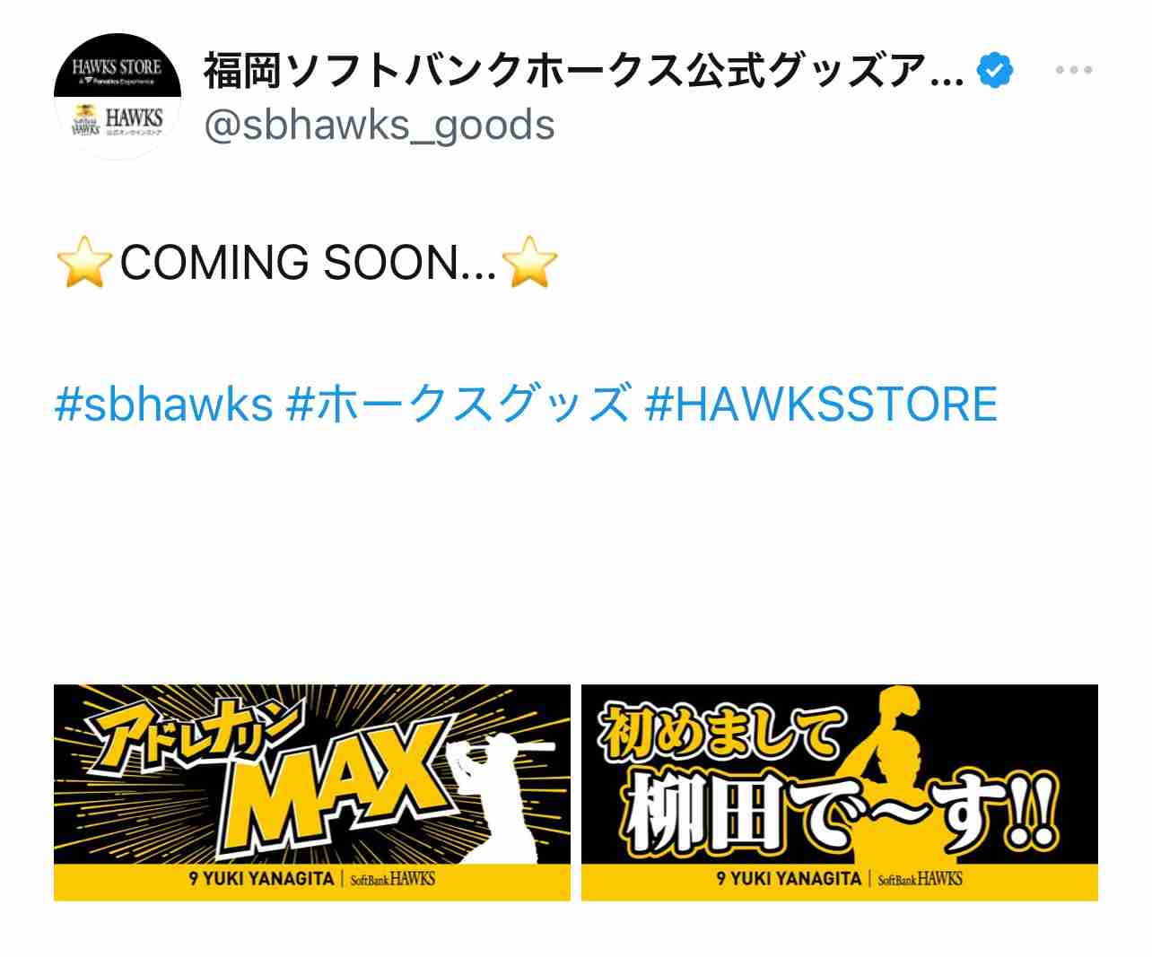 福岡ソフトバンクホークスファン集合！Part19