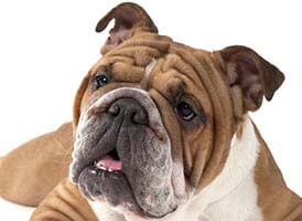 顔のたるみが辛い