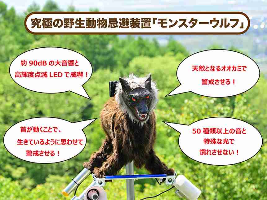 【クマ出没】仕事で山に入らなきゃいけない