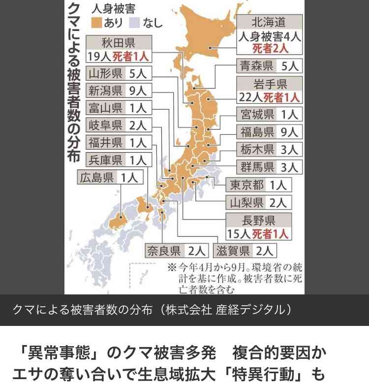 【クマ出没】仕事で山に入らなきゃいけない