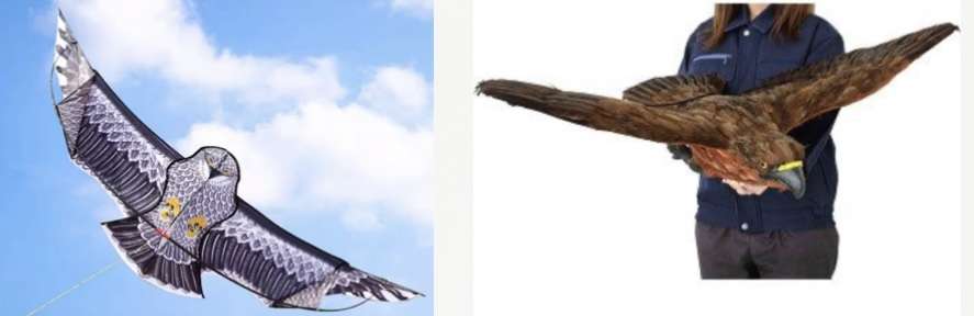 【クマ出没】仕事で山に入らなきゃいけない