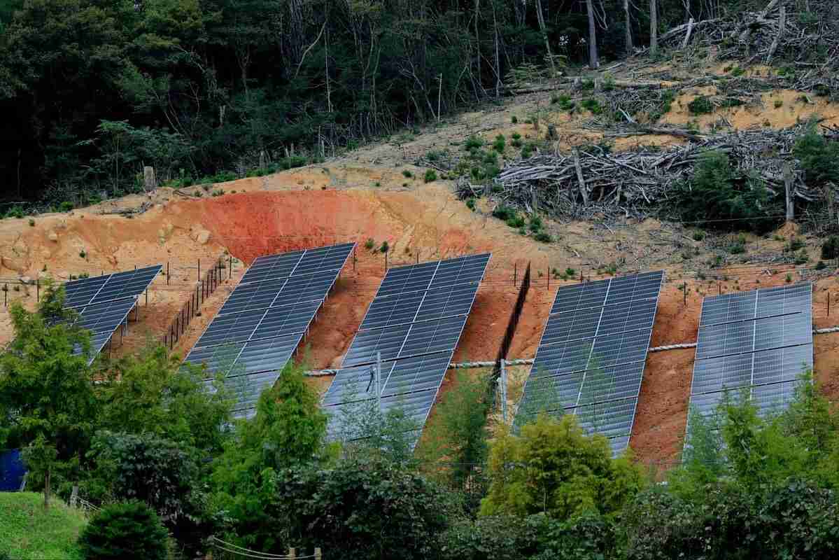 「クマがうろついている。会社の建物内に立てこもった」　阿賀野市の会社建物内にクマが閉じこもり《新潟》