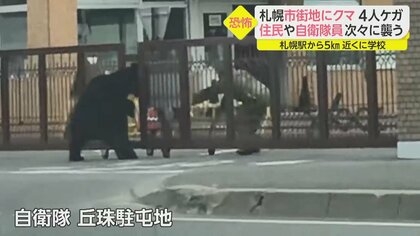 【速報】群馬・沼田市のスーパーにクマが侵入　客の70代男性が襲われけが　命に別状なし
