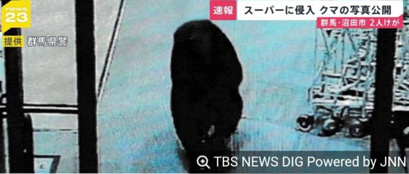 【速報】群馬・沼田市のスーパーにクマが侵入　客の70代男性が襲われけが　命に別状なし