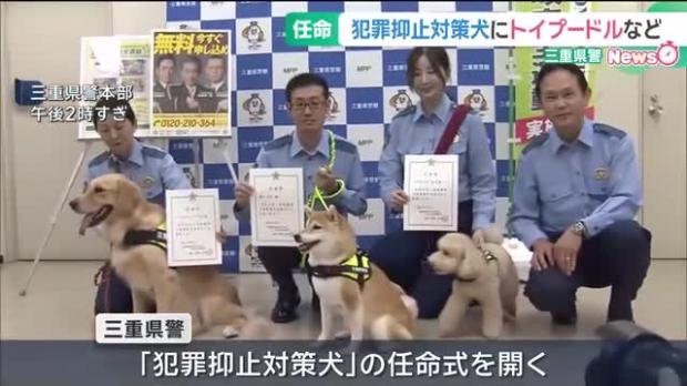 心のよりどころ